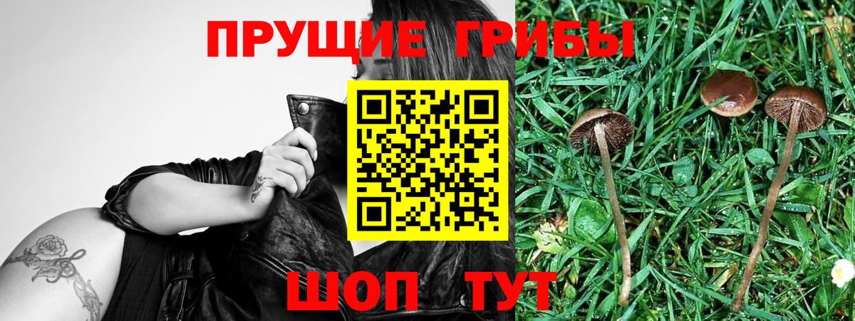 Псилоцибиновые грибы мухоморы  Вход с VPN  хочу наркоту  Топки 