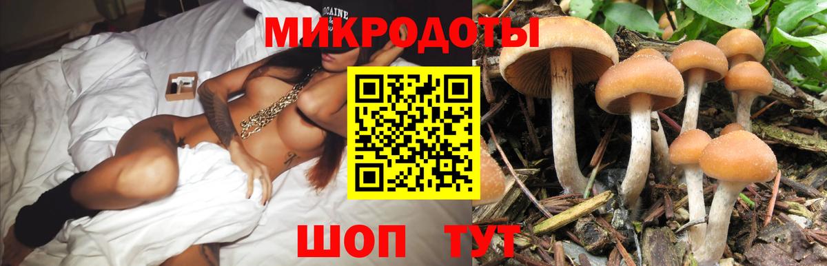 Псилоцибиновые грибы GOLDEN TEACHER Топки